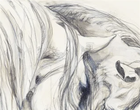 Unbridled / Exhibit Gallery image 3